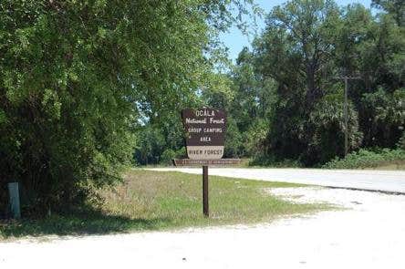 Camper submitted image from Ocala National Forest River Forest Group Camp - 2