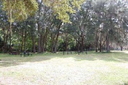 Camper submitted image from Ocala National Forest River Forest Group Camp - 2