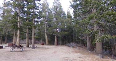 Palisade Group Campground