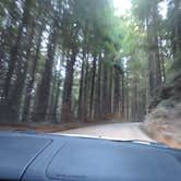 Review photo of Gold Bluffs Beach Campground — Prairie Creek Redwoods State Park by Megan B., September 9, 2016