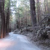Review photo of Gold Bluffs Beach Campground — Prairie Creek Redwoods State Park by Megan B., September 9, 2016