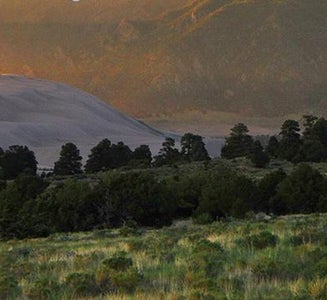 Camper-submitted photo from Pinon Flats Campground — Great Sand Dunes National Park