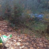 Review photo of Mount Hood National Forest Sunstrip Campground - TEMPORARILY CLOSE DUE TO FIRE DAMAGE by Kevin L., September 29, 2015