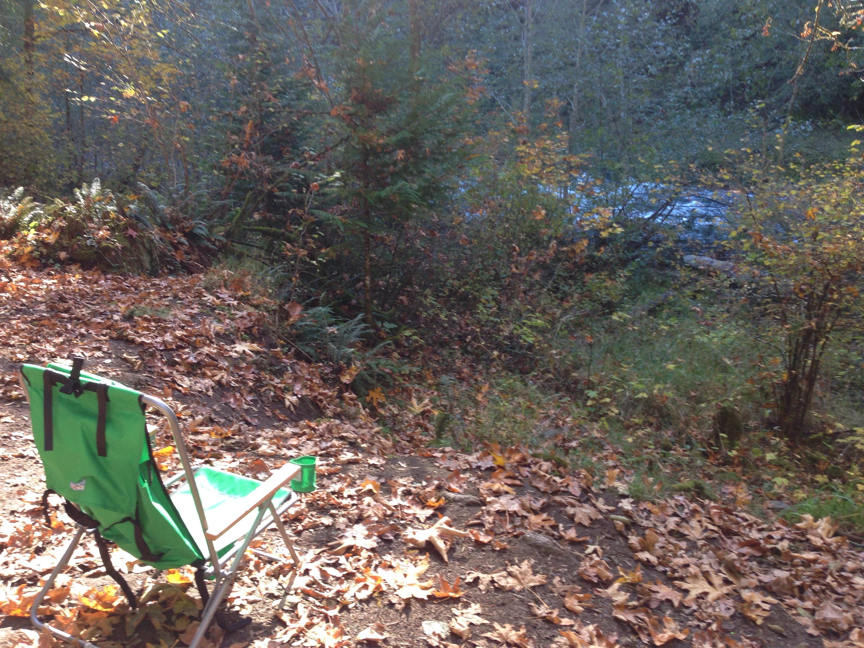 Camper submitted image from Mount Hood National Forest Sunstrip Campground - TEMPORARILY CLOSE DUE TO FIRE DAMAGE - 4