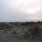 Review photo of Gold Bluffs Beach Campground — Prairie Creek Redwoods State Park by Megan B., September 9, 2016