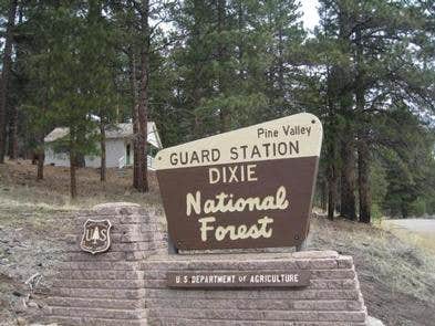 Camper submitted image from Pine Valley Guard Station - 5