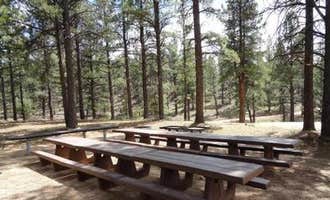 Camping near Uravan Ballpark Campground: Buckeye Campground, La Sal, Colorado