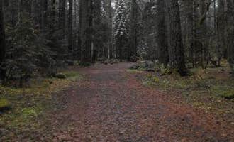 Camping near French Pete Campground: Frissell Crossing Campground, Mckenzie Bridge, Oregon