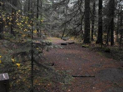 Camper submitted image from Frissell Crossing Campground - 4