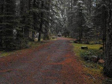 Camper submitted image from Frissell Crossing Campground - 5