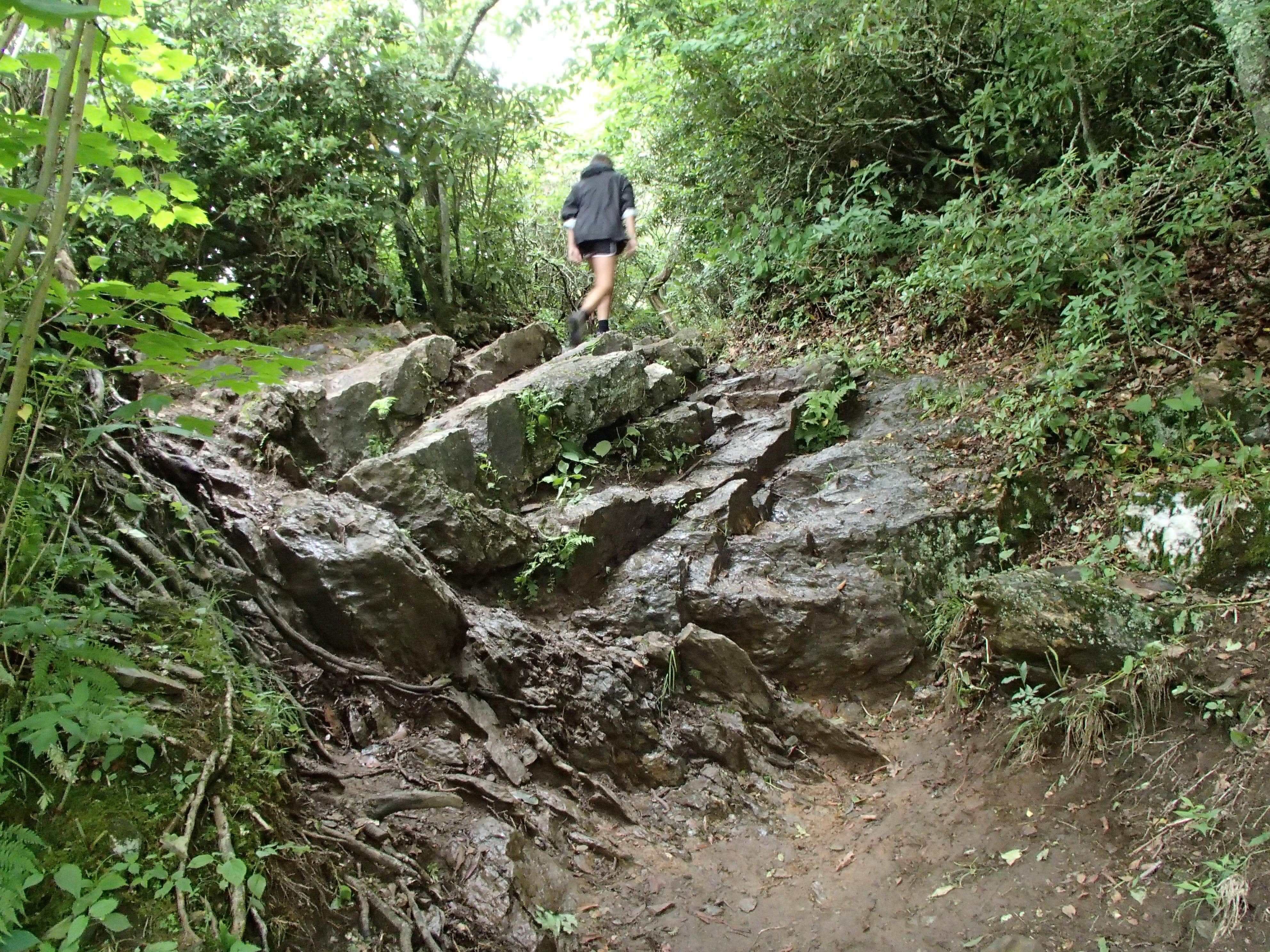 Camper submitted image from Mount Pisgah Campground - 4