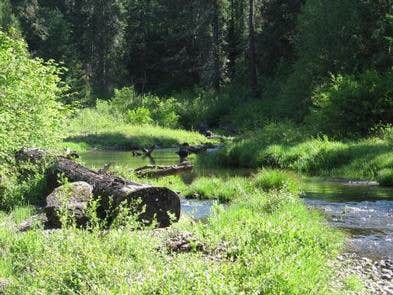 Rogue River National Forest Jim Creek Group Campground Camping The Dyrt