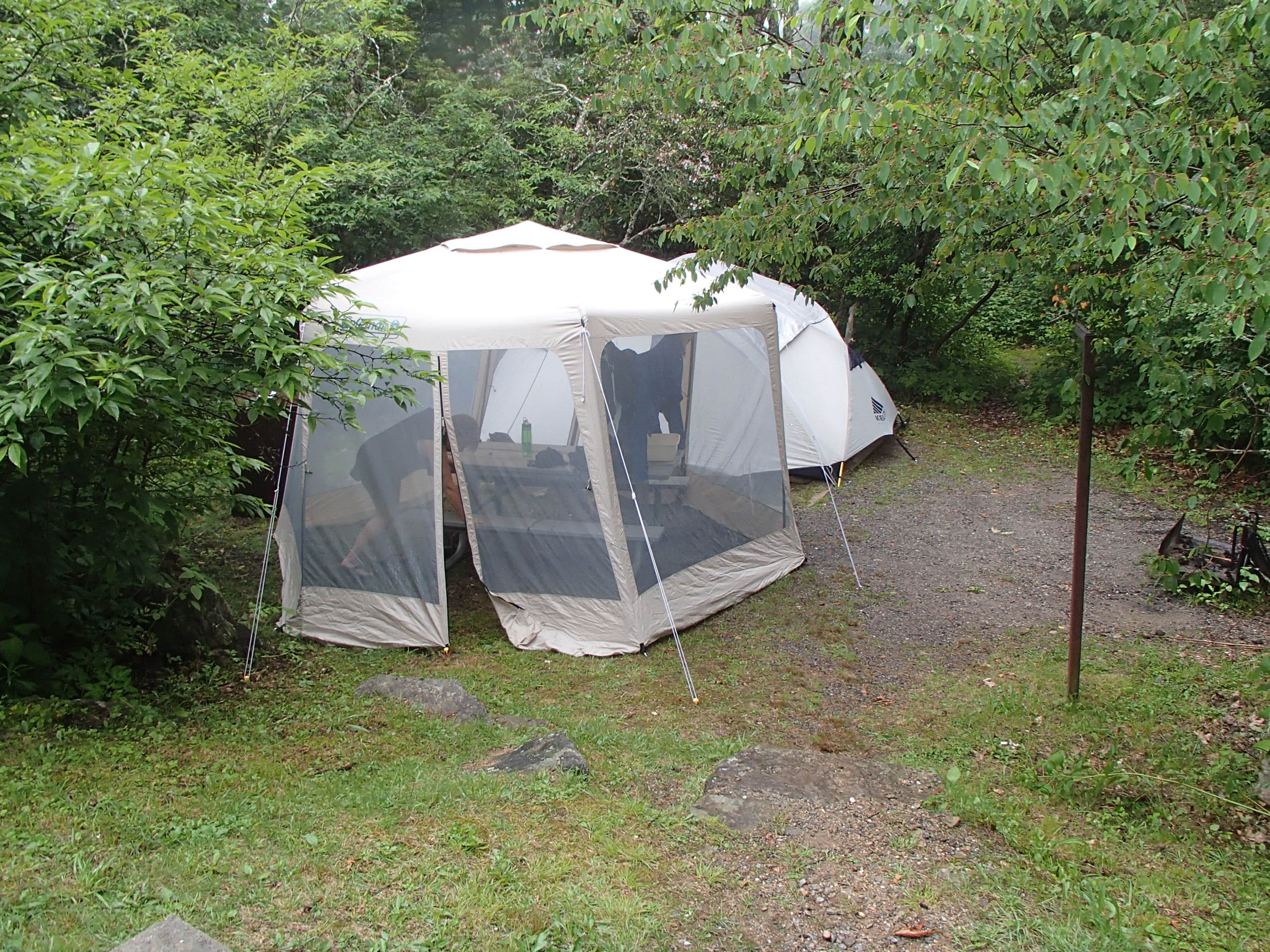 Camper submitted image from Mount Pisgah Campground - 3