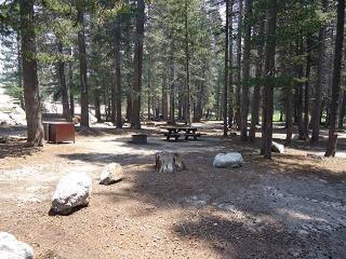 Camper submitted image from Big Meadow Campground - Us Forest Service Sequoia National Forest (CA) - 4