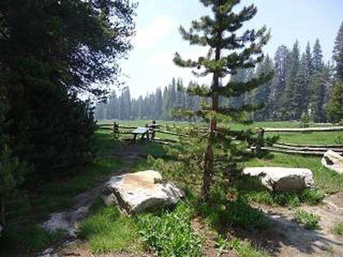 Camper submitted image from Big Meadow Campground - Us Forest Service Sequoia National Forest (CA) - 1