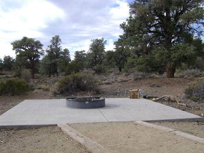 Cedar Flat Group Campground CA