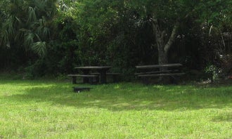 Pinecrest Group Campground - Big Cypress National