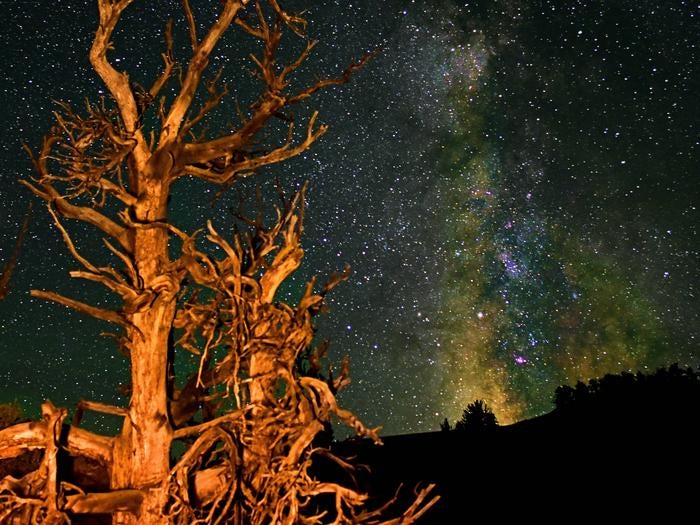 Night Skies at Craters of the Moon

Credit: Share the Experience Photo Contest - Courtesy of Robert Bass