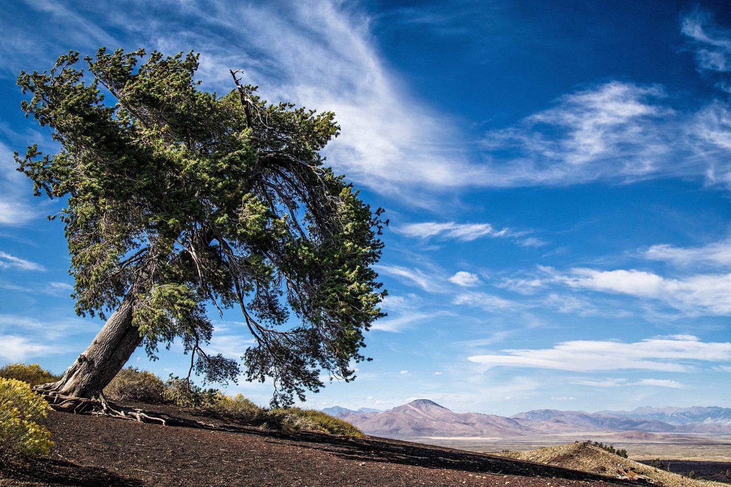 Camper-submitted photo at Group Campground — Craters of the Moon National Monument near Howe, ID