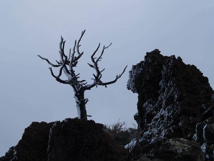 Camper submitted image from Group Campground — Craters of the Moon National Monument - 1