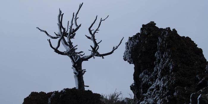 Camper submitted image from Group Campground — Craters of the Moon National Monument