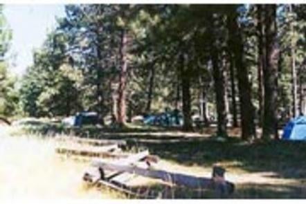 Camper submitted image from West Eagle Campground - 4