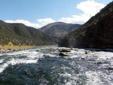 Camper submitted image from Green River Float-In Campsites - 1