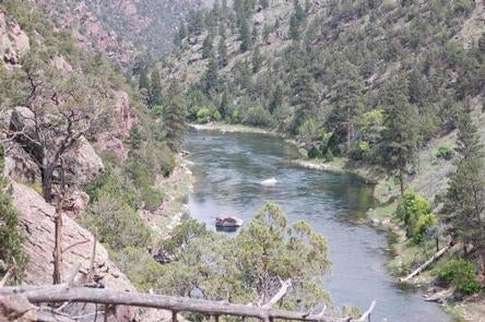 Camper submitted image from Green River Float-In Campsites - 3