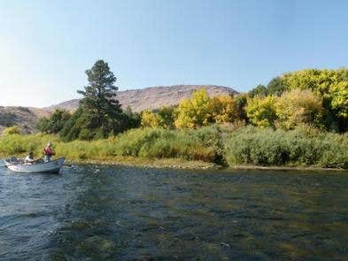 Camper submitted image from Green River Float-In Campsites - 4