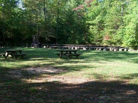 Camper submitted image from Cherokee National Forest Chilhowee Campground - 1