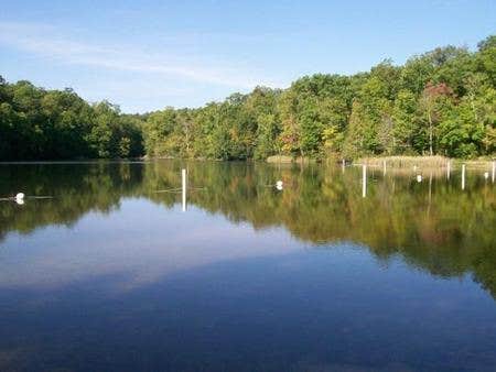 Camper submitted image from Cherokee National Forest Chilhowee Campground - 4