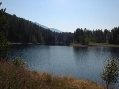 Camper submitted image from Riverside Campground (MT) - 2