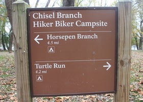 Chisel Branch Hiker-Biker Campsite