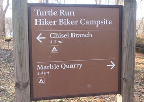 Turtle Run Hiker-biker Overnight (hbo) Campsite