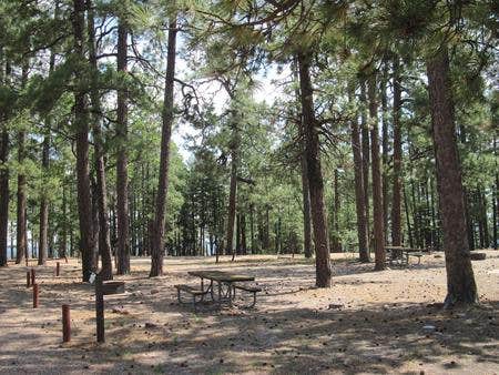 Camper submitted image from Gentry Group Campground - 4