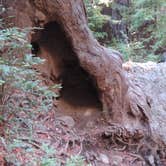 Review photo of Julia Pfeiffer Burns Environmental Camping — Julia Pfeiffer Burns State Park by Megan B., September 9, 2016