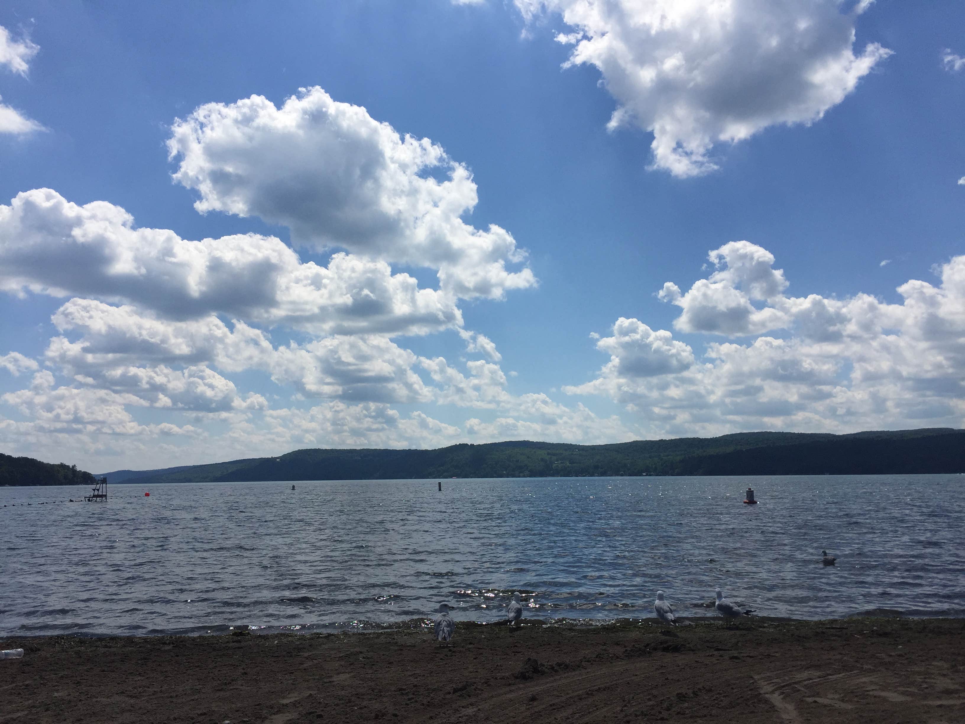 Camper submitted image from Glimmerglass State Park Campground - 2