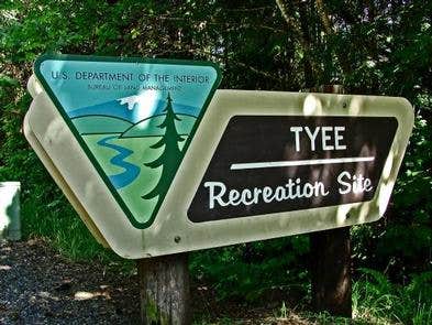 Camper submitted image from Tyee Campground (umpqua River) - 2