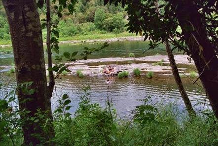 Camper submitted image from Tyee Campground (umpqua River) - 4