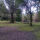 Tyee Campground (umpqua River)