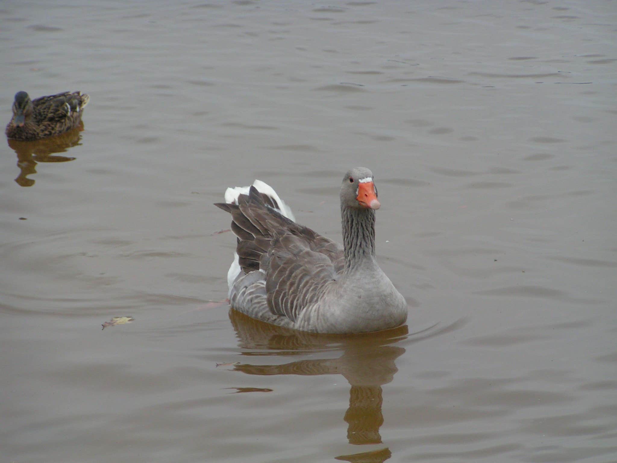 Camper-submitted photo at Cane Creek Park near Indian Trail, NC