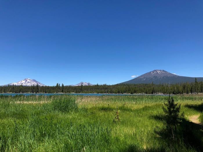 Camper submitted image from Lava Lake Campground - 1