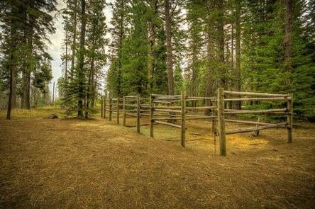 Whispering Pines Horse Camp



Credit: