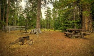 Whispering Pine Horse Camp