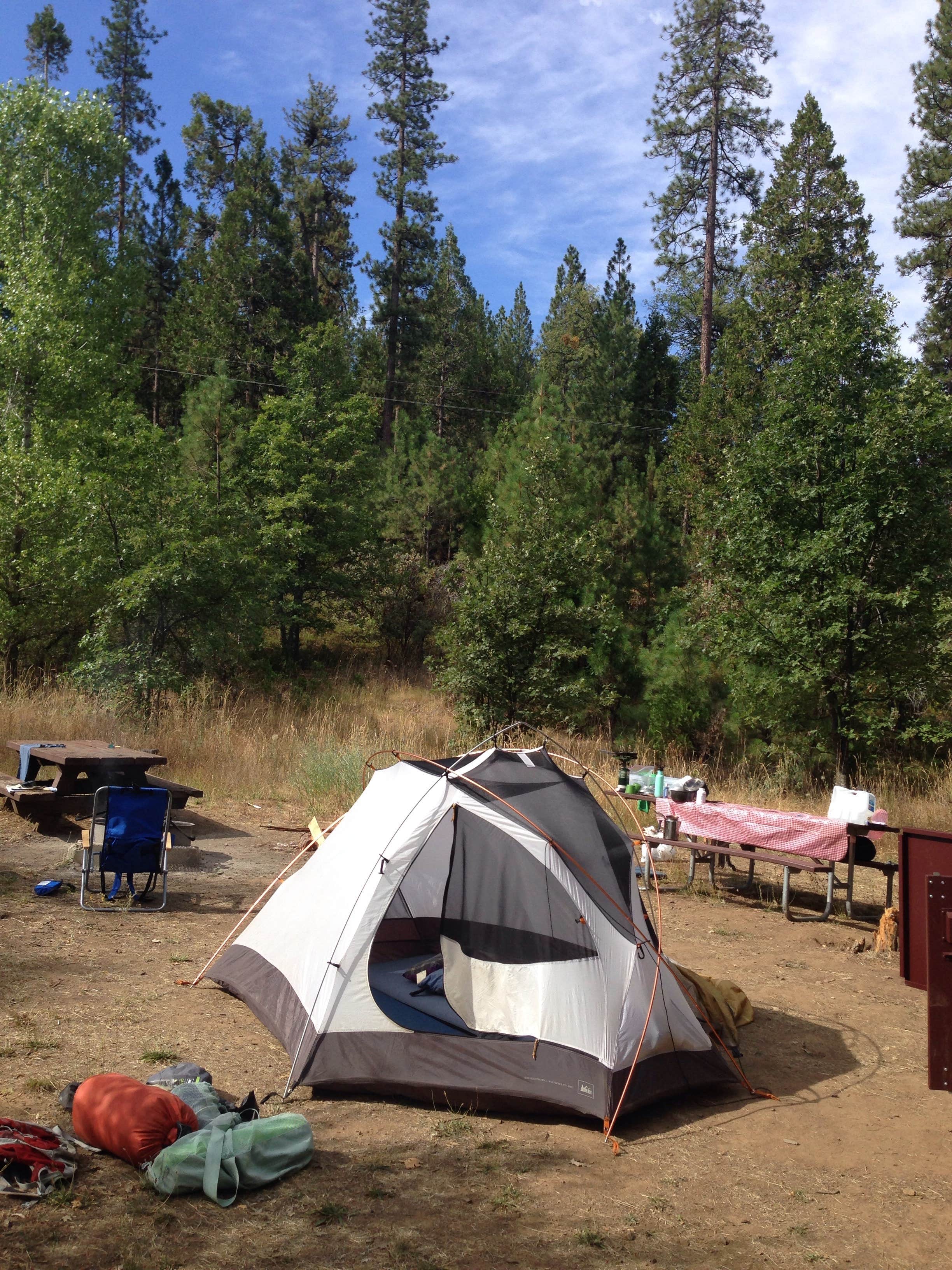 Camper submitted image from Pines Campground Stanislaus — Stanislaus National Forest - 3