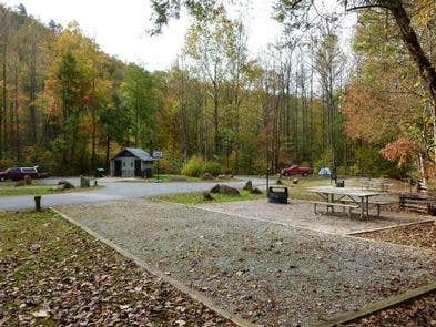 Camper submitted image from Curtis Creek Campground - 1