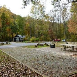 Public Campgrounds: Curtis Creek Campground