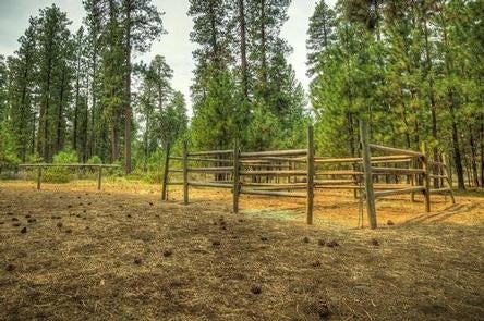 Camper submitted image from Graham Corral Horse Camp - 2