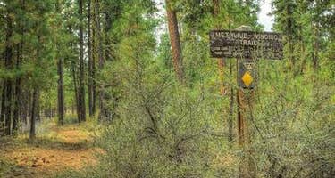 Graham Corral Horse Campground