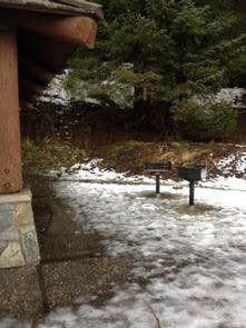 Camper submitted image from Auk Recreation Area Shelter 5 - 2